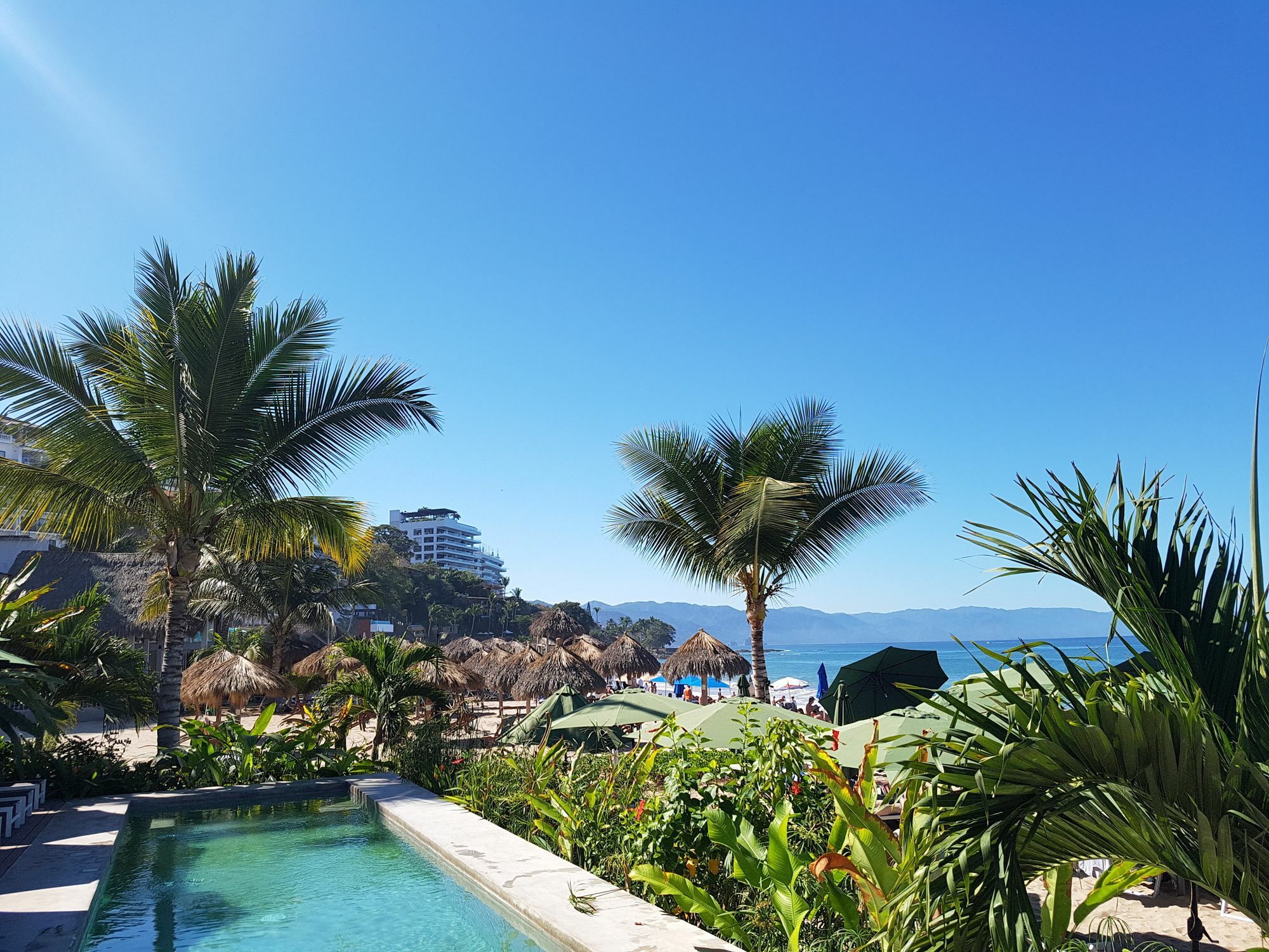 Suites At Sapphire Ocean Club Puerto Vallarta Ngoại thất bức ảnh